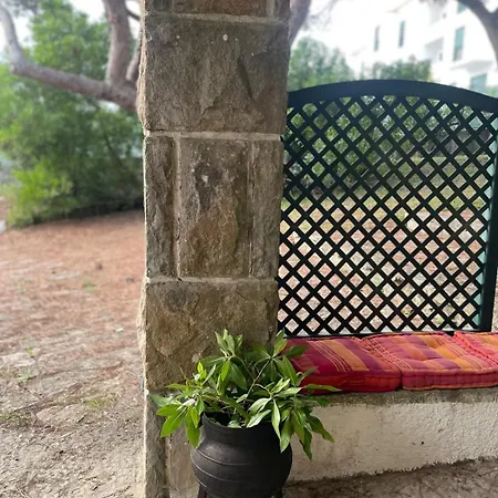 Vacation In Maçãs